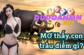 Con trâu số mấy – Mơ thấy con trâu mang đến điềm báo gì?