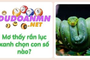 Giấc mơ thấy rắn xanh mang đến dấu hiệu gì? Đánh con nào?