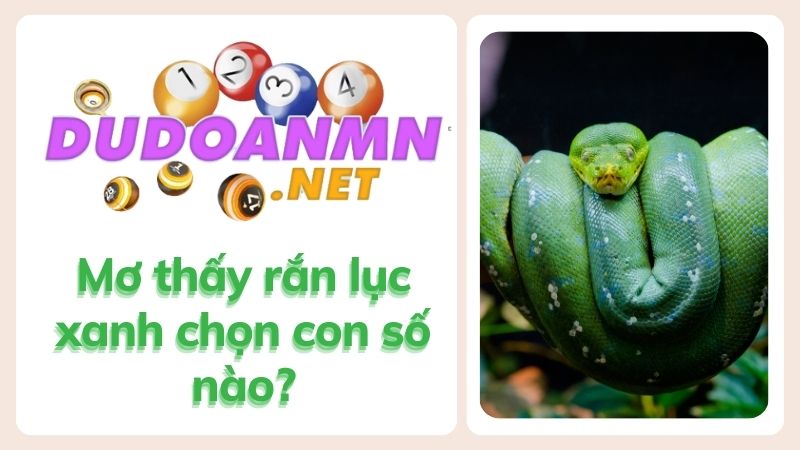 Mơ thấy rắn lục xanh chọn con số nào?