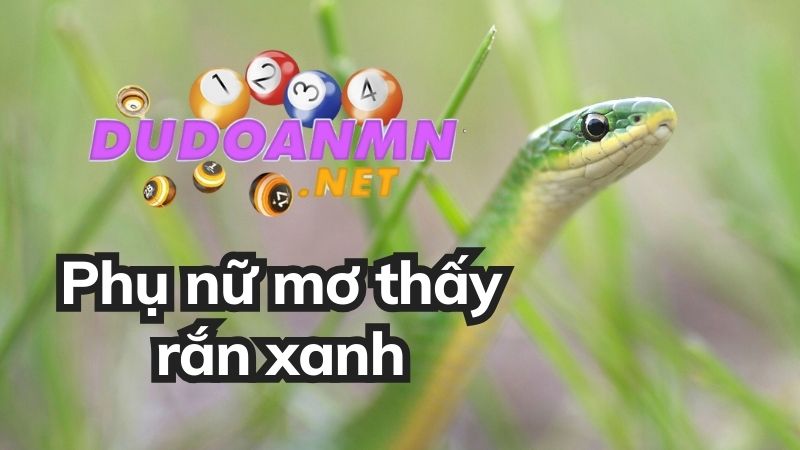 Phụ nữ mơ thấy rắn xanh